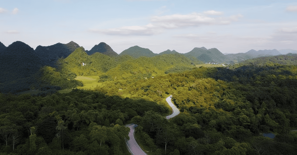 Cuc Phuong National Park - the oldest national park in Vietnam